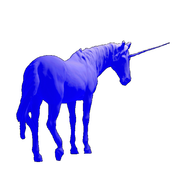 elizabeth hunker unicorn
